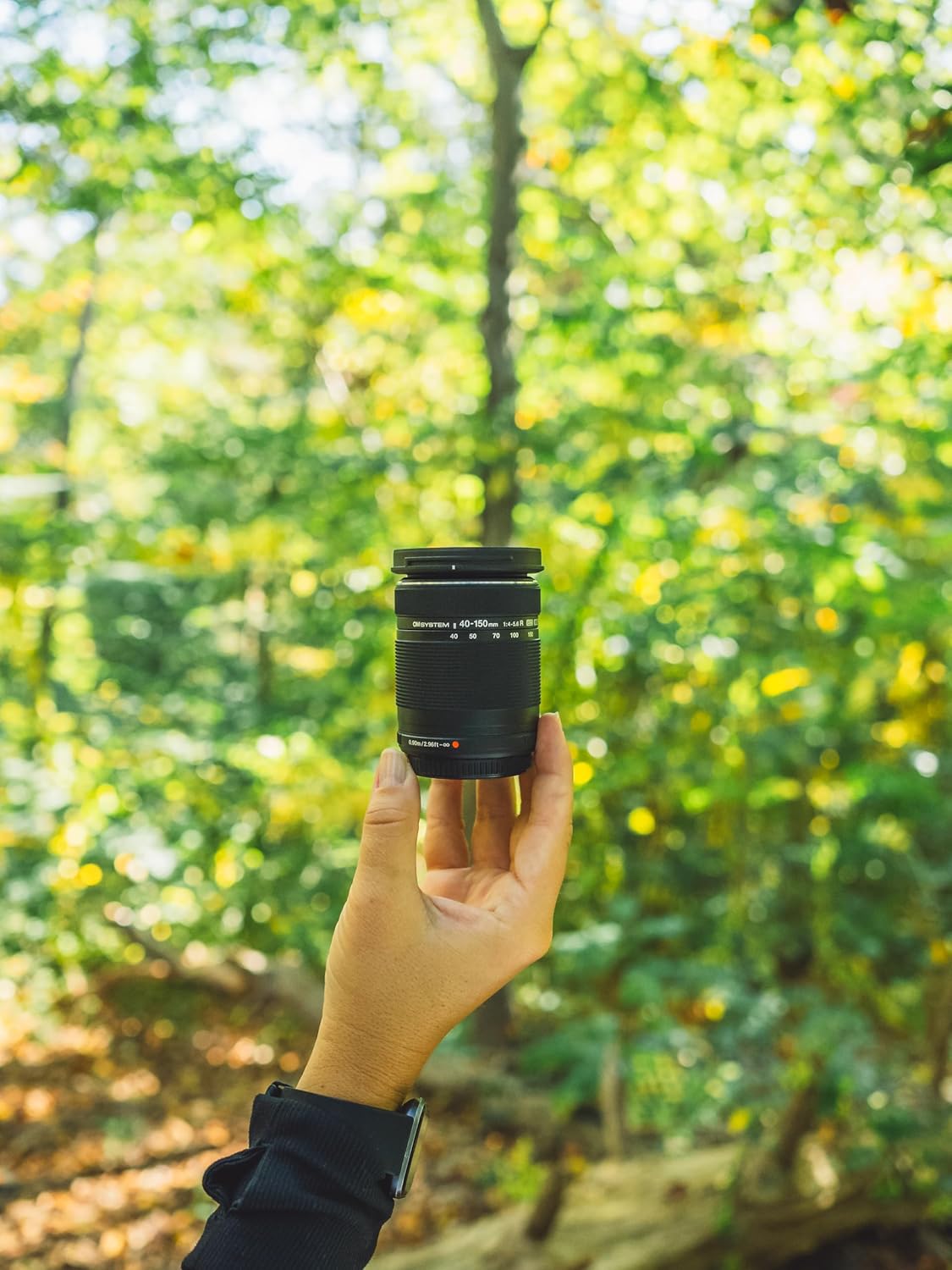 OM System M.Zuiko Digital ED 40-150mm F4.0-5.6 R Lens with High-Speed Imager AF and 30 to 8.2-Degree Angle of View (Black) - Image 2